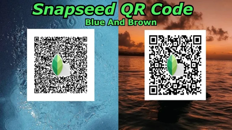 snapseed qr code blue and brown