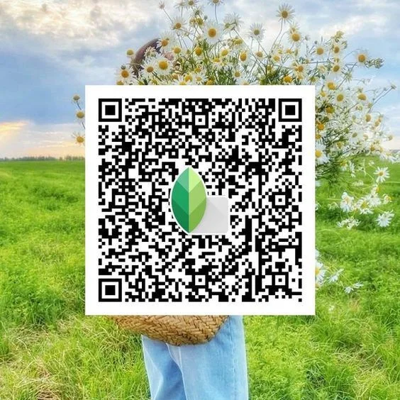 snapseed qr code green background