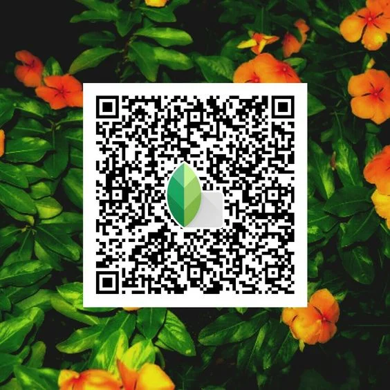 Snapseed qr code green background